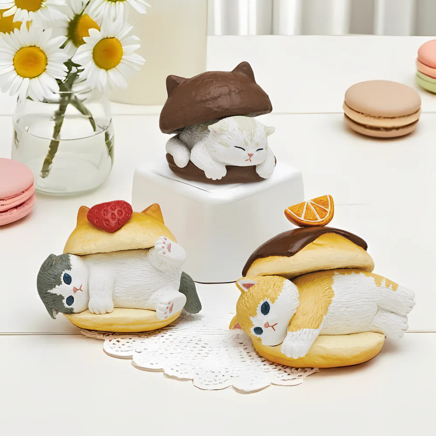 Maritozzo Cats